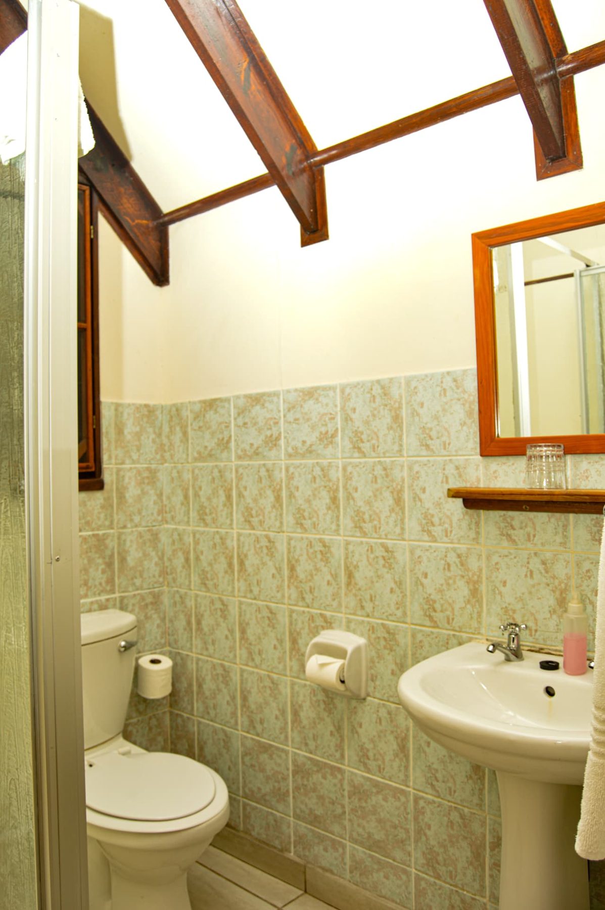 Standard Chalet ensuite bathroom