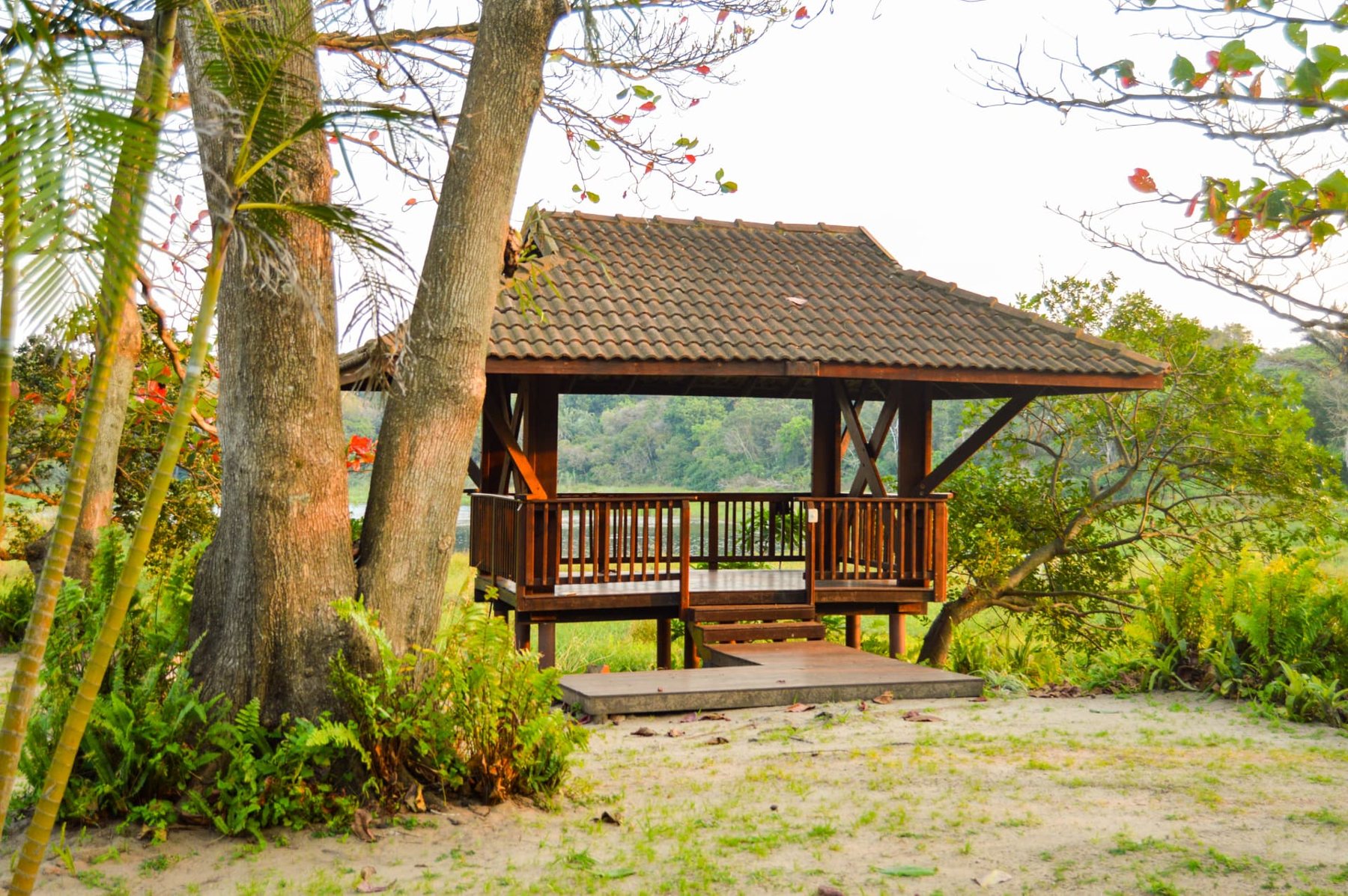Wide view of the lodge grounds